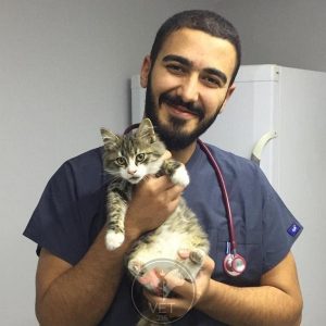 Pazar acil veterinerlik