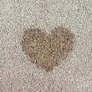 Kedilerde İdrar Yolu Enfeksiyonu Nedenleri Nedir