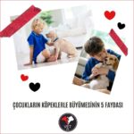 Çocukların Köpeklerle Büyümesinin 5 Faydası