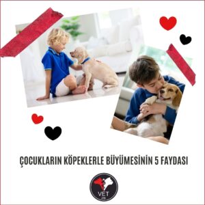 Çocukların Köpeklerle Büyümesinin 5 Faydası