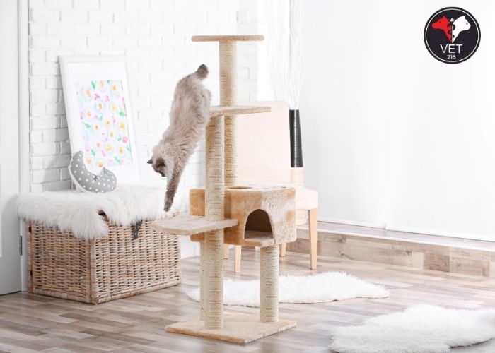 kedi tırmalama tahtası