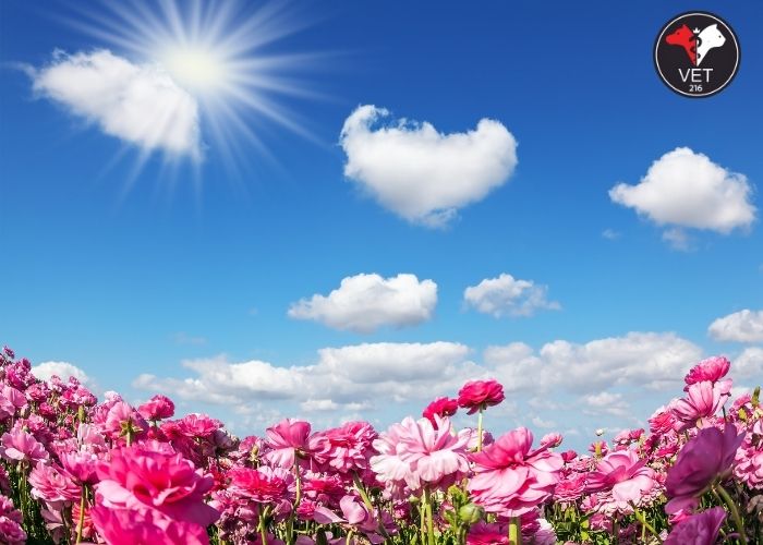 mayıs ayı özel günler 2024