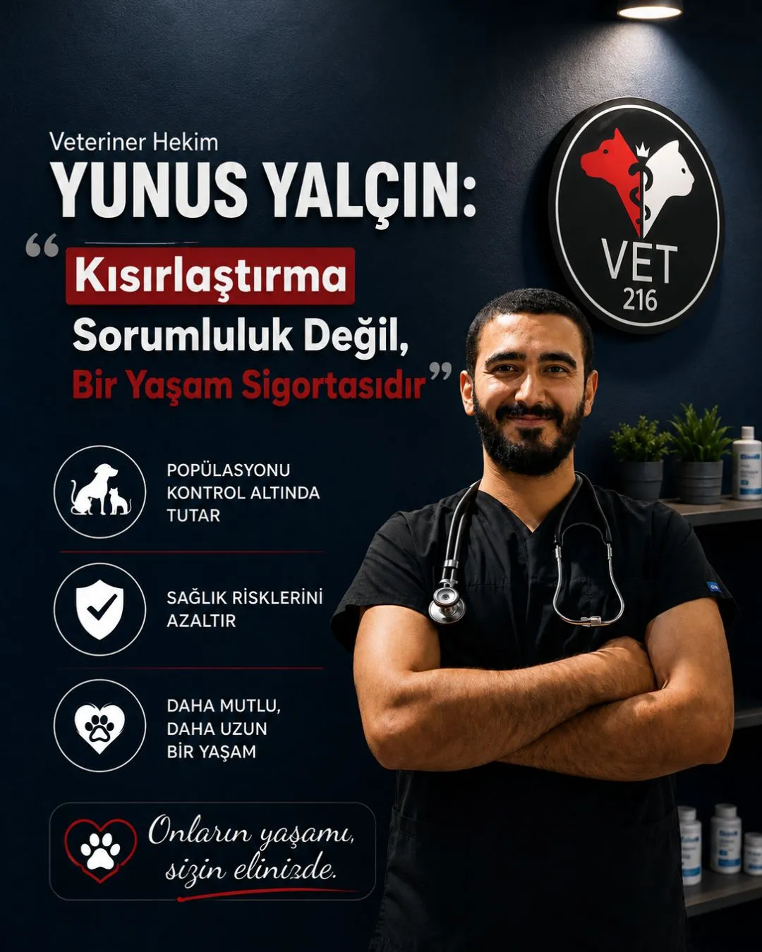 Kısırlaştırma Operasyonu Hakkında Her Şey: Dostunuzun Ömrünü Nasıl Uzatırız? Veteriner Hekim Yunus Yalçın Kısırlaştırmayı Anlatıyor!