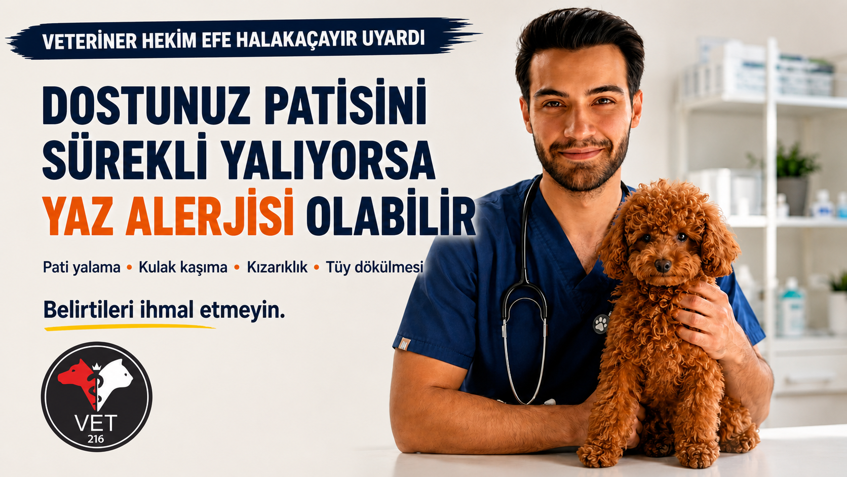 Evcil hayvanlarda yaz alerjisi, pati yalama ve kronik kaşıntı belirtileri