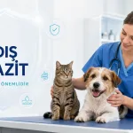 Veteriner klinikte kedi ve köpekte iç dış parazit takibini anlatıyor
