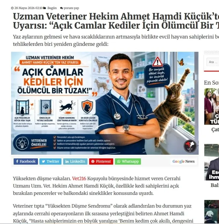 yuksekten-dusen-kedi-tehlikesi