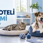 Pet oteli seçerken güvenli konaklama koşullarını temsil eden kedi ve köpek görseli